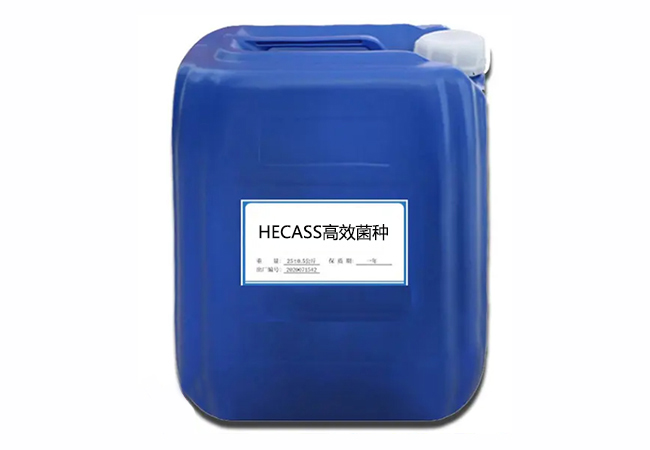 HECASS高效菌種.jpg